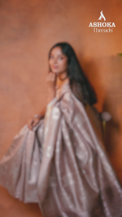 Tissue Silk Saree Champagne Beige Silver Geometric